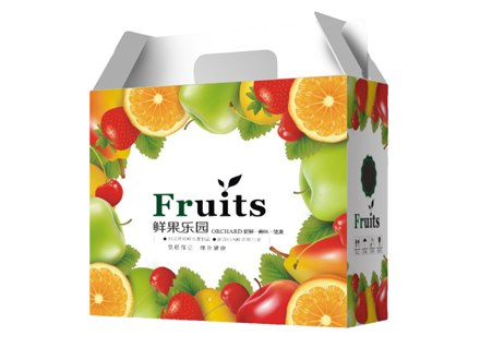 水果礼品包装盒