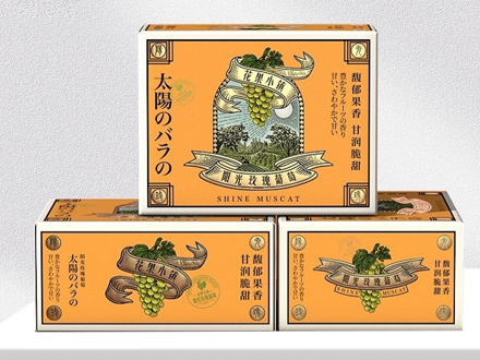 水果礼品盒